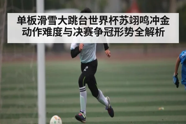 单板滑雪大跳台世界杯苏翊鸣冲金动作难度与决赛争冠形势全解析 | kaiyun
